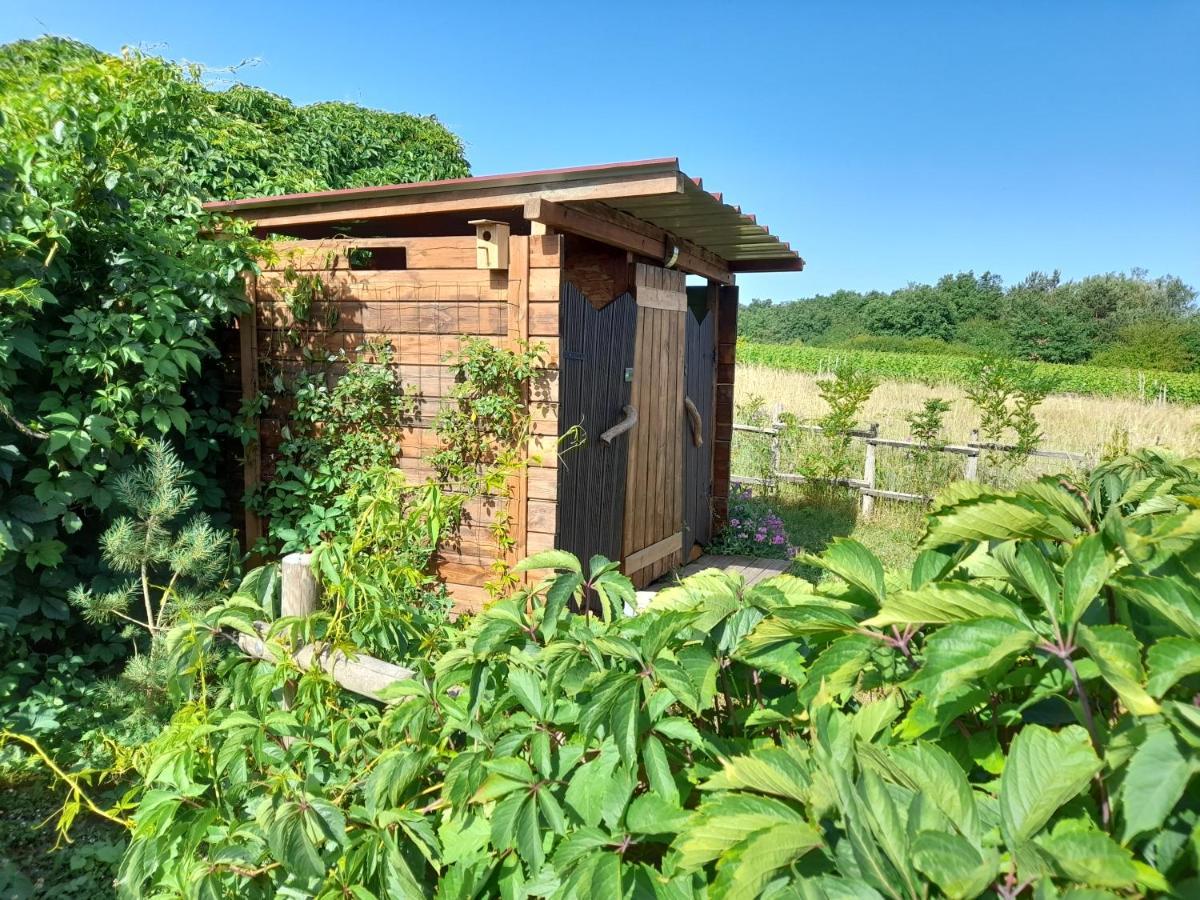 Le Clos De Epinettes Angé Exterior photo